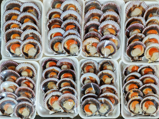 Ostiones Frescos (bandeja 10un)