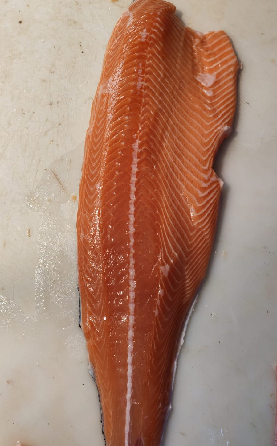 Salmon Filete Fresco Premium (peso variable 1.2 - 1.3kg)