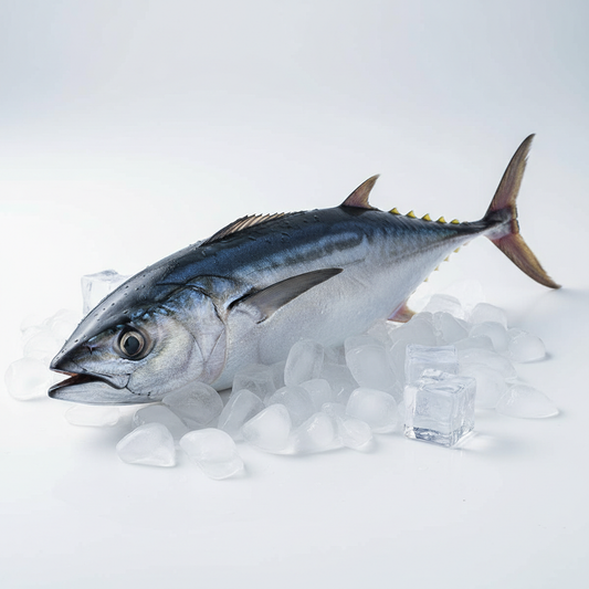 Atún Bonito Entero
